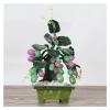 YXIANG56Q Fake Plants Tabletop Bonsai Tree Craftsman Jade Grape Bonsai Creative High-end Ornaments Jade Carving Bonsai for Home Office Table Decor Bonsai Tree, yuqing2022 view 1
