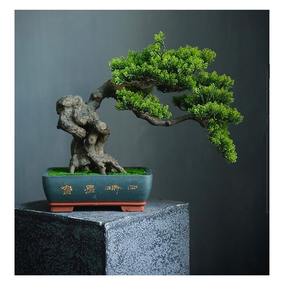 YXIANG56Q Fake Plants Grade Simulation Welcome to Tree Tree Bonsai Hotel Office Tea Several Live Hall Extreme Decoration Beautiful Items Bonsai Tree(D)