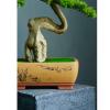YXIANG56Q Fake Plants Grade Simulation Welcome to Tree Tree Bonsai Hotel Office Tea Several Live Hall Extreme Decoration Beautiful Items Bonsai Tree(D) view 3