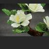 YXIANG56Q Fake Plants Tabletop Peony Bonsai Tree Jade Bonsai Ornaments Creative Peony Flower Bonsaifor Home Office Table Decor Chinese Feng Shui Decoration Bonsai Tree, yuqing2022 view 3