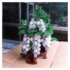 YXIANG56Q Fake Plants Artificial Bonsai Natural Amethyst Jade Grape Bonsai for Home Indoor Decoration Entrance Wine Cabinet Jade Carving Decoration Bonsai Tree view 1