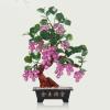 YXIANG56Q Fake Plants Chinese Style Artificial Bonsai Tree Natural Jade Potted Jade Grape Vine Bonsai for Home Decoration Office Windowsill Display Trees Zen Decor Bonsai Tree view 4
