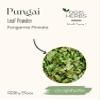 YOGIS HERBS Pungai Leaf Powder | Pure Pongamia Pinnata  Supports Skin Health, Joint Comfort & Digestive Health (0.5 Lb) view 2