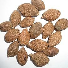 bhavika Creation Organic Malwa Nuts, 250g