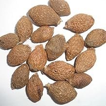 bhavika Creation Organic Malwa Nuts, 250g
