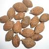 bhavika Creation Organic Malwa Nuts, 250g view 1