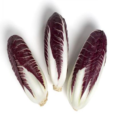 Trevisano, 10 Count, Average 10 Pounds Case, Burgundy and White Leaves, Fresh and Crisp
