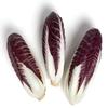 Trevisano, 10 Count, Average 10 Pounds Case, Burgundy and White Leaves, Fresh and Crisp view 1