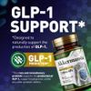 Built by Nature Akkermansia Muciniphila Probiotic Supplement  2 Billion AFU - Supports GLP-1, Immune & Digestive Gut Health - 120 Delayed Release Capsules view 3