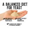 Craft A Brew - Mead Yeast Nutrient Bundle - Lalvin D47 Yeast - For Fermentation - Home Brewing Ingredients - Mead Making Supplies - Yields 10 Gallons view 3