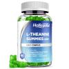 HOLLEGEND L-Theanine Gummies, l'theanine 400mg with Ashwagandha, GABA, 5HTP,L-Theanine Chewable Supplement for Relax, Zzz & Focus Support, Vegan, Lemon Flavor, 60 Counts view 1