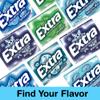 Bitetwist Assorted Chewing Gum, Mint Gum Variety pack Of Extra Long Lasting Flavors, Sugar Free, Receive 5 Flavors (9 Pack), 1 Sticker Of Our Logo, Package by Bitetwist view 4