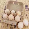 KalluliCC 20 Pack Egg Cartons Cheap Bulk, 6 Count Egg Storage Containers Holder, Sturdy Natural Pulp Material Perfect for Storing Extra EggsBlank Natural Pulp Carton for Chicken Eggs Reusable view 4