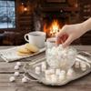 Assorted Party Mints, 3 Pound Pastel Mints Bulk Bag, After Dinner Mints view 3