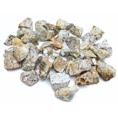 1 LB Fossil Jasper - Natural Raw Stones for Tumbling, Cabbing, Fountain Rocks, Decoration, Polishing, Wire Wrapping, Wicca & Reiki, Gemstone, 1 Inch+ Size, 2000+ Carat