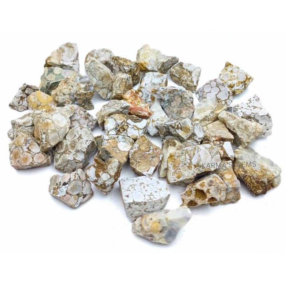 1 LB Fossil Jasper - Natural Raw Stones for Tumbling, Cabbing, Fountain Rocks, Decoration, Polishing, Wire Wrapping, Wicca & Reiki, Gemstone, 1 Inch+ Size, 2000+ Carat