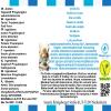 Vanilla Ice Cream Flavor Concentrate - Vegan - Sasami - 100ml view 4