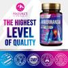 Akkermansia Probiotic 2 Billion AFU - Premium Akkermansia Muciniphila with Prebiotics for Women and Men - GLP-1 Support Supplement for Gut and Digestive Health - Bottled in USA - 120 Capsules view 4