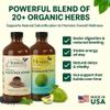 Herbal Connections Organic Soursop & Black Seed Bitters Bundle - Natural Plant-Based Ingredients for Gentle Detox & Digestive Health Two Bottles, 32 Ounces (16 Ounces Each), 64 Servings view 2