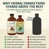 Herbal Connections Organic Soursop & Black Seed Bitters Bundle - Natural Plant-Based Ingredients for Gentle Detox & Digestive Health Two Bottles, 32 Ounces (16 Ounces Each), 64 Servings view 3