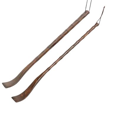 Back Scratcher for Itchy Body, Head, Legs and Feet,2 Pack 19.3 Inch Extended Handle Design,for Women Men of Any Age,Strong and Sturdy,Ideal Gifts for Parents,Family and Friends