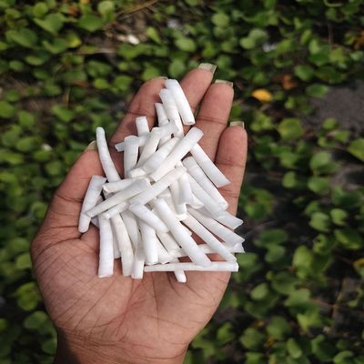 2.2 LBS (1 kg) Broken Dentalium Shells (1-1.5 Inches)