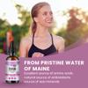 VitaminSEA North Atlantic Dulse Extract, 30 Servings, Raw Liquid Seaweed Supplement Drops, Made from Maine Coast Atlantic Dulse (2 Oz) view 4