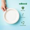Caboo Disposable Bamboo Paper Plates, 125 Pack of 10 Inch Sturdy Biodegradable Plates, Compostable Plate, Microwave Safe Party Plate, Eco Friendly Alternative to Plastic view 3
