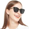 OCCI CHIARI Magnetic Reading Sun Glasses 2.0x Clip on Sunglasses Readers for Women Fashion Cat Eye Polarized Frame(1.0 1.25 1.5 1.75 2.0 2.25 2.5 2.75 3.0 3.5) view 1