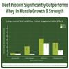 Grass Fed Beef Protein Powder - Lactose Free Great Tasting Beef Protein Isolate. Complete Animal Based Non Dairy Paleo Carnivore Supplement for Prime Muscle Building. No Whey. Chocolate Flavor view 2