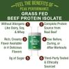 Grass Fed Beef Protein Powder - Lactose Free Great Tasting Beef Protein Isolate. Complete Animal Based Non Dairy Paleo Carnivore Supplement for Prime Muscle Building. No Whey. Chocolate Flavor view 4