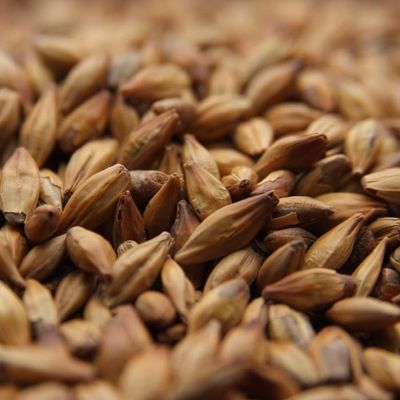 10lb Weyermann Caramunich Type I Malt Unmilled Crystal Caramel Malt 30-38L