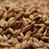 10lb Weyermann Caramunich Type I Malt Unmilled Crystal Caramel Malt 30-38L view 1