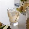 FixtureDisplays Premium Lychee Flavoring Syrup 1 Liter WS-544SYPFR030F-NPF view 2