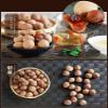 Dried Longan 500g Longan Fruit, Small Kernel Thick Flesh Chinese Fujiang Specialty (8A2.35-2.45cm) view 4