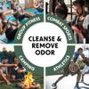 Wipex Gym Cleaning Wipes Bundle - Get (1) 400ct Lemongrass Surface Wipes & (1) 225ct Body Cloths for After Workout, Plant-Based Fitness Equipment Wipes, Clean Surfaces & Mats and Peloton Bike view 4