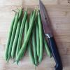 40 Napolean Bean Seeds view 1