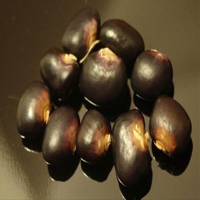40 Succotash Dry Pole Bean Seeds