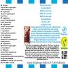 Chocolate Muffin Flavor Concentrate - Vegan - Sasami - 100ml view 4