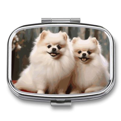 Short-haired Pomeranian Dog Square Pill Box Travel Portable Pill Case 2 Compartment Medicine Metal Tablet Vitamin Holder Organizer for Purse Pocket