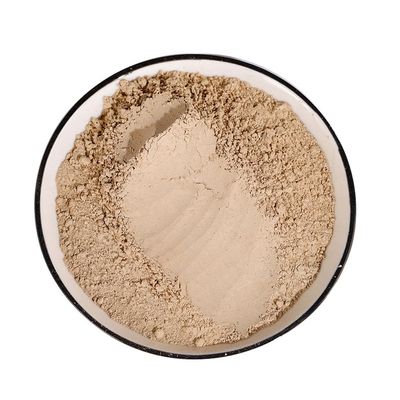 Angelica Sinensis Powder (1000g(35.27oz))