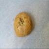 Lipkin's Pizza Knishes (Kosher, Regular, Non-Dairy) view 3