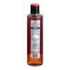 Butterscotch Flavoring Syrup 1 Liter WS-711SYPABUT1L-NF view 2