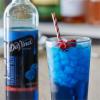 Gourmet Classic Blue Raspberry Flavoring Syrup 750 mL WS-711SYP4BLRSP-NF view 2