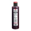 FixtureDisplays Three Berry Real Fruit Flavoring Syrup 1 Liter WS-711SYPABER1L-NF view 2