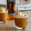 Gourmet Sugar Free Caramel Flavoring Syrup 750 mL WS-711SYPSF4DCM-NF view 2