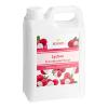 FixtureDisplays Lychee Concentrated Syrup 64 Fluid ounce WS-535SYPLYCHEE-NF view 3