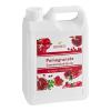 FixtureDisplays Pomegranate Concentrated Syrup 64 Fluid ounce WS-535SYPPMGRN-NF view 3