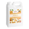 FixtureDisplays Kumquat Concentrated Syrup 64 Fluid ounce WS-535SYPKUMQAT-NF view 3