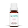 Signature Pure Essential Oil Blend by Organic Aromas, 0.3 oz, 10ml, Elemi, Clary Sage, Cajeput, Moroccan Chamomile, Bergamot Essential Oils view 1